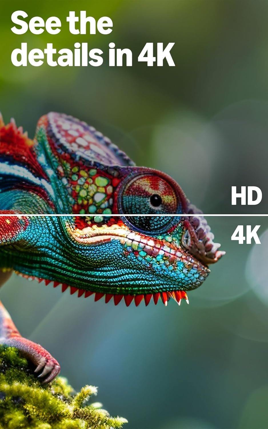 Amazon Ember 55" 4-Series with Fire TV (newest model), 4K Ultra HD smart TV with Alexa Remote, HDR10+, fast processor, Dolby Audio, Ambient Experience, free and live TV, find shows faster with Alexa+ 55-inch - Image 5